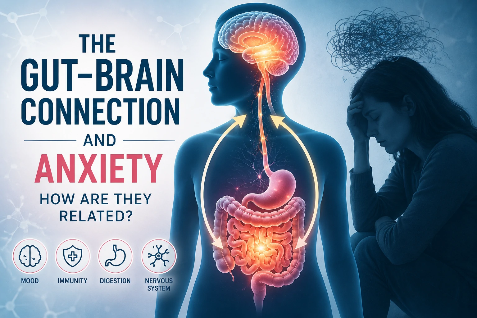 gut-brain connection and anxiety